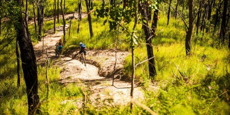 kidsbucketlist.com.au - Davies Creek Mountain Bike Park - 1
