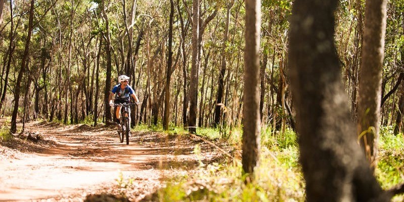 kidsbucketlist.com.au - Davies Creek Mountain Bike Park - 2