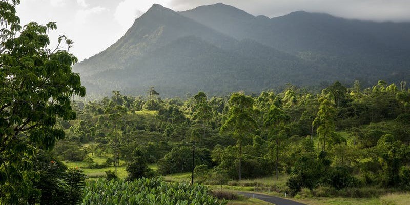 kidsbucketlist.com.au - Mt. Bartle Frere - 1