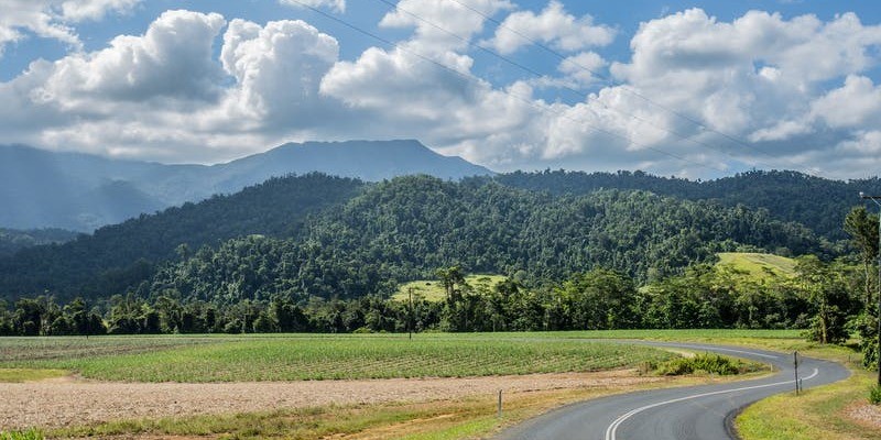 kidsbucketlist.com.au - Mt. Bartle Frere - 2