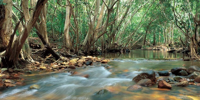 kidsbucketlist.com.au - Tully Gorge Lookout - 2