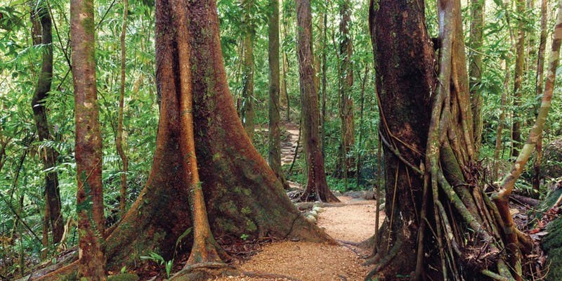 kidsbucketlist.com.au - Devils Thumb (Manjal Jimalji) Trail - 1