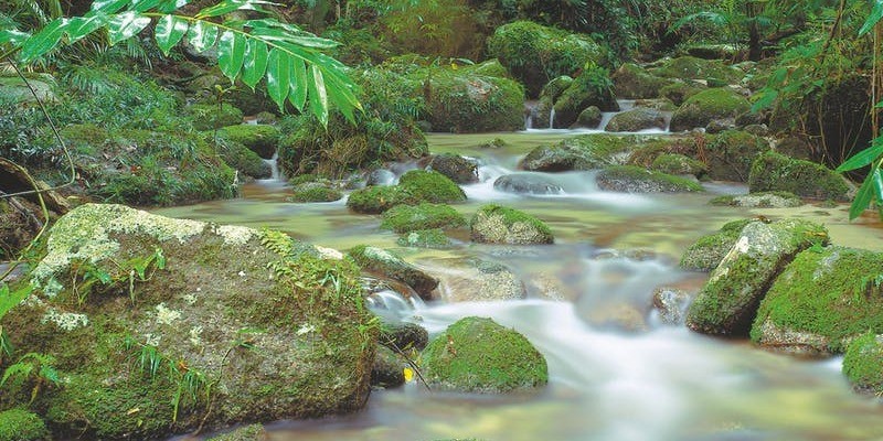 kidsbucketlist.com.au - Devils Thumb (Manjal Jimalji) Trail - 2