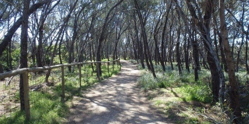 kidsbucketlist.com.au - Federation Walk, The Spit - 1