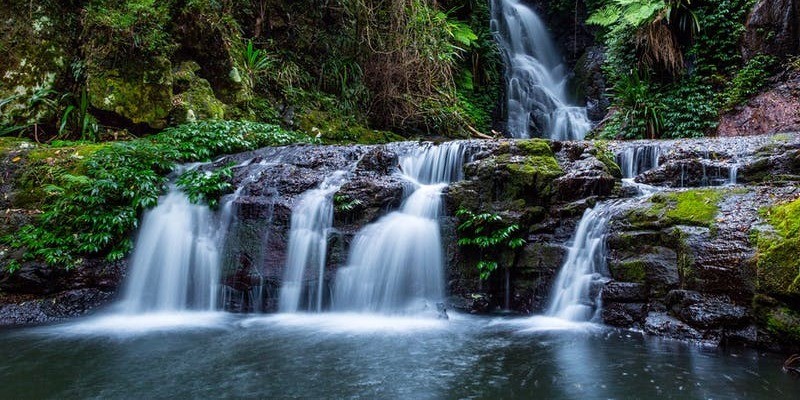 kidsbucketlist.com.au - Tamborine - Lamington Circuit Scenic Drive - 1