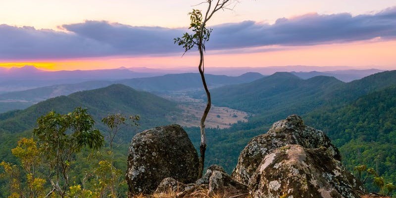 kidsbucketlist.com.au - Tamborine - Lamington Circuit Scenic Drive - 2