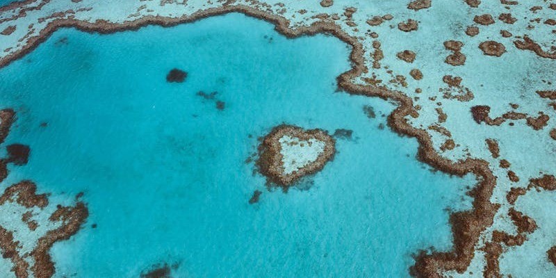 kidsbucketlist.com.au - Heart Reef - 1