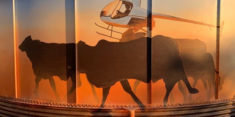 kidsbucketlist.com.au - Trail Blaze West - 1