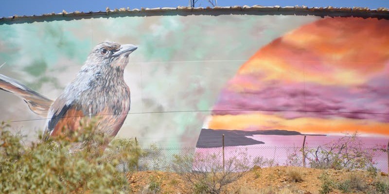 kidsbucketlist.com.au - Trail Blaze West - 2