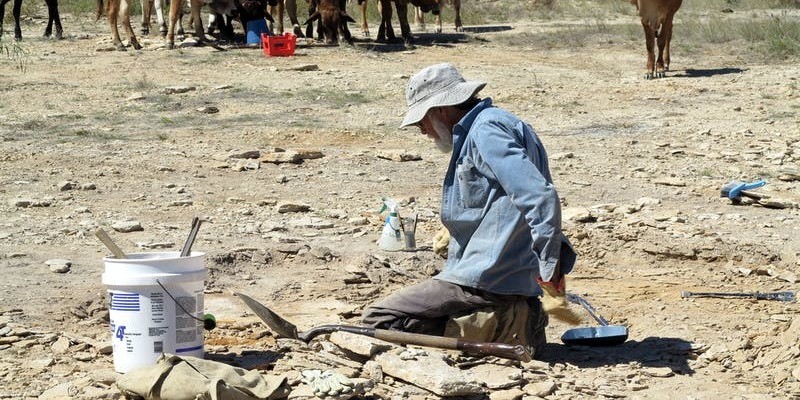 kidsbucketlist.com.au - Richmond Fossil Hunting Sites - 2