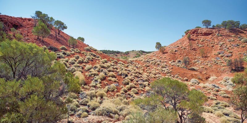 kidsbucketlist.com.au - Lark Quarry Conservation Park - 3
