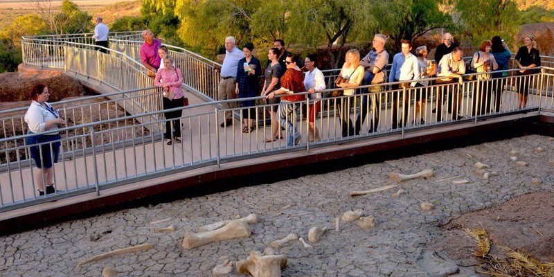 kidsbucketlist.com.au - Australian Age of the Dinosaurs - 1