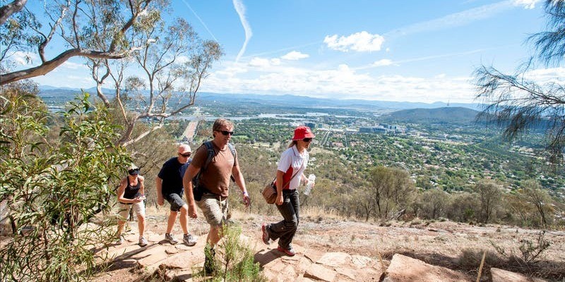 kidsbucketlist.com.au - Mount Ainslie Lookout - 2