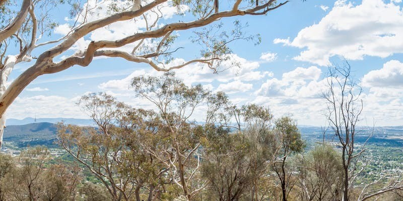 kidsbucketlist.com.au - Mount Ainslie Lookout - 3