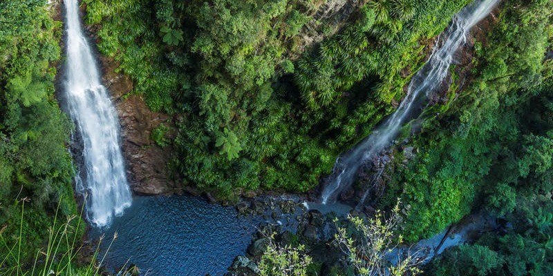 kidsbucketlist.com.au - Coomera Falls Circuit - 1