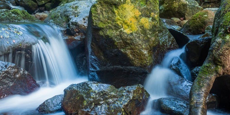 kidsbucketlist.com.au - Coomera Falls Circuit - 2