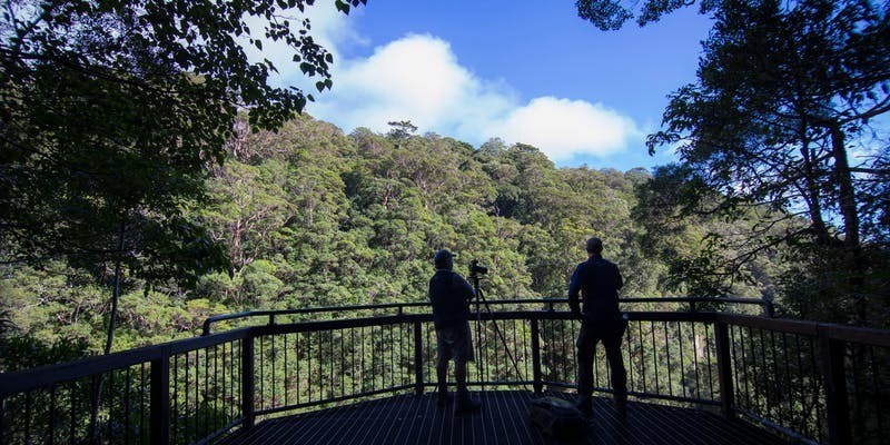 kidsbucketlist.com.au - Coomera Falls Circuit - 3