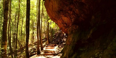 Cave Creek Walking Track