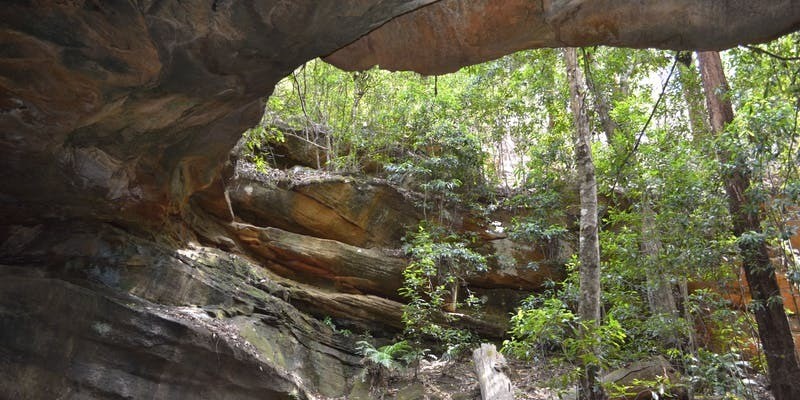 kidsbucketlist.com.au - Cave Creek Walking Track - 3