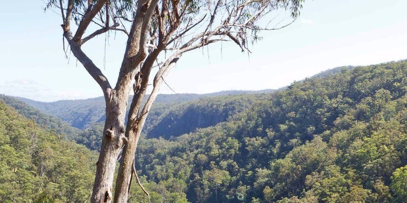 kidsbucketlist.com.au - Lyrebird Falls Walking Track - 1