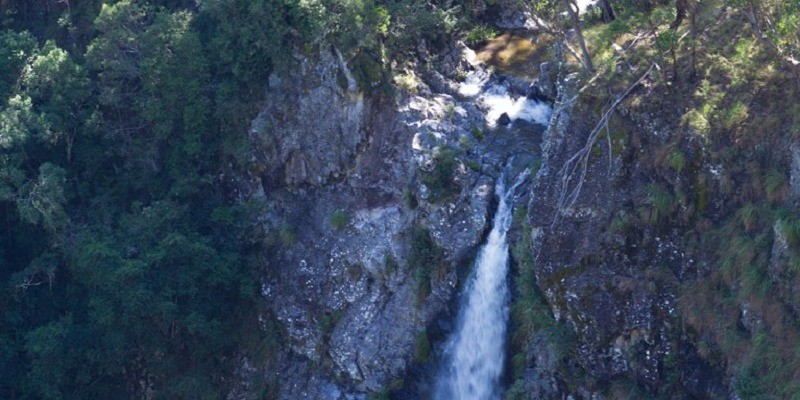 kidsbucketlist.com.au - Lyrebird Falls Walking Track - 2