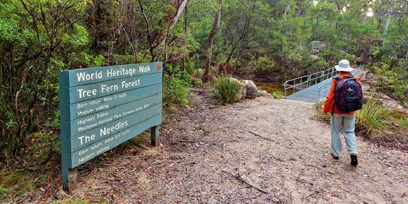 kidsbucketlist.com.au - Gibraltar-Washpool World Heritage Walk - 1