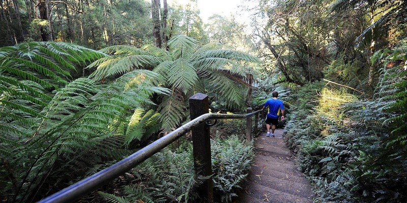 kidsbucketlist.com.au - Kokoda Track Memorial Walk (1000 Steps) - 1