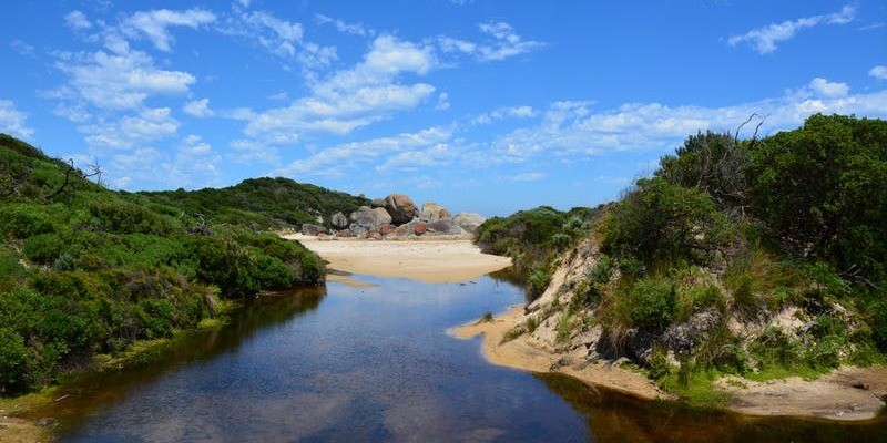 kidsbucketlist.com.au - Wilsons Promontory National Park - 1