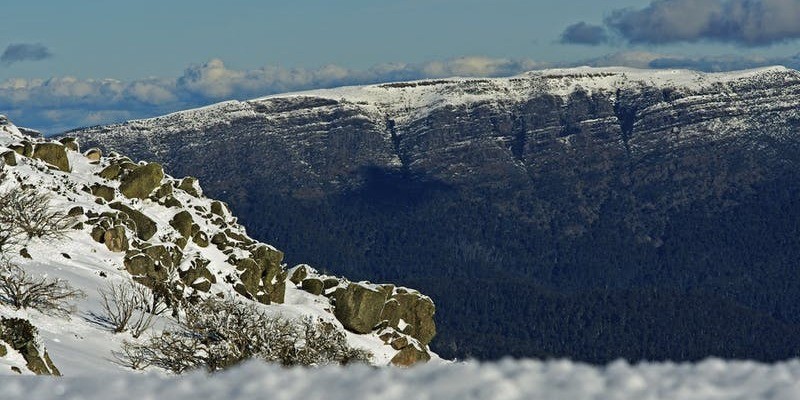 kidsbucketlist.com.au - Mt Stirling Alpine Resort - 3