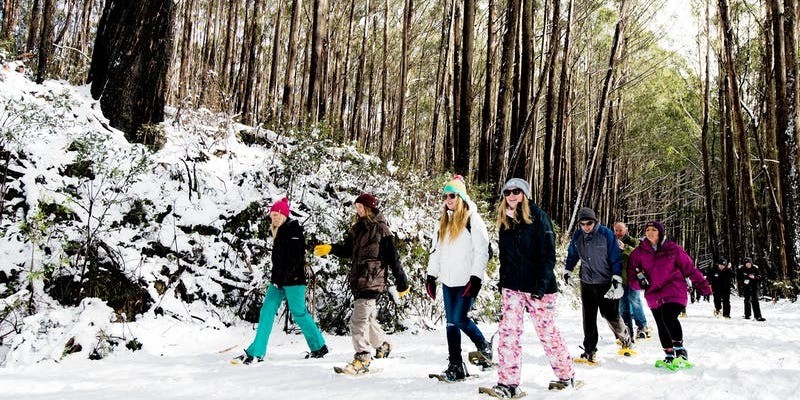 kidsbucketlist.com.au - Mt Stirling Alpine Resort - 4