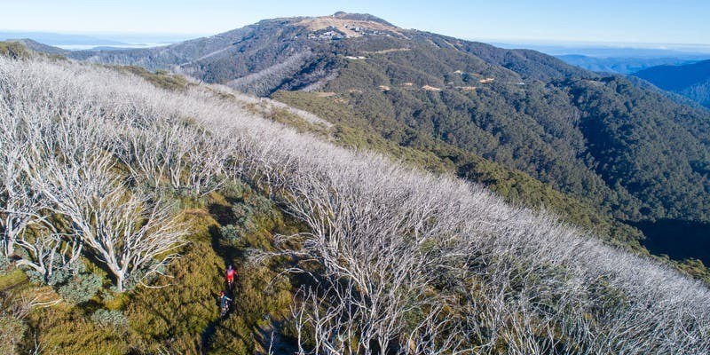 kidsbucketlist.com.au - Mt Buller Bike Park - 2