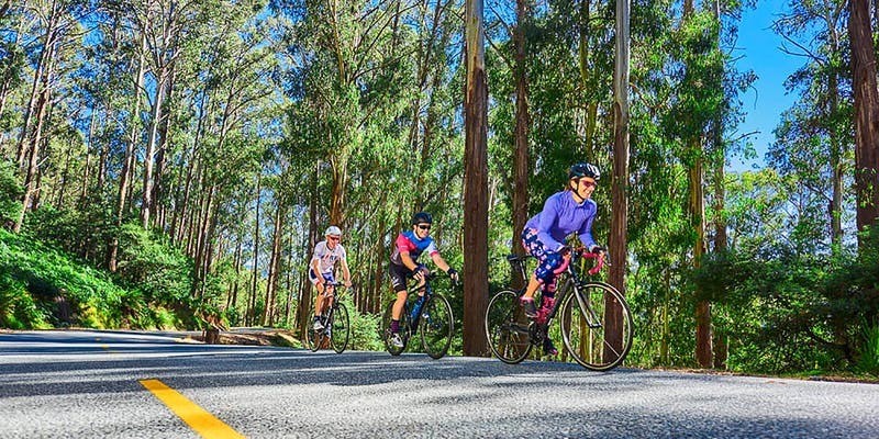 kidsbucketlist.com.au - Mt Buller Bike Park - 3