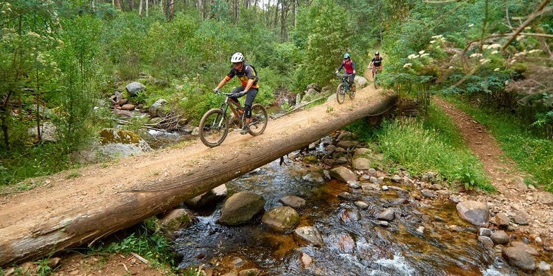 kidsbucketlist.com.au - Mt Buller Bike Park - 4