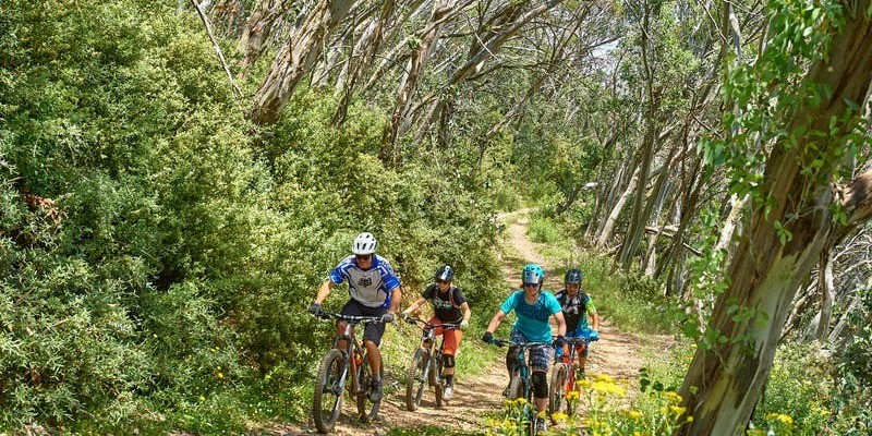 kidsbucketlist.com.au - Mt Buller Bike Park - 5