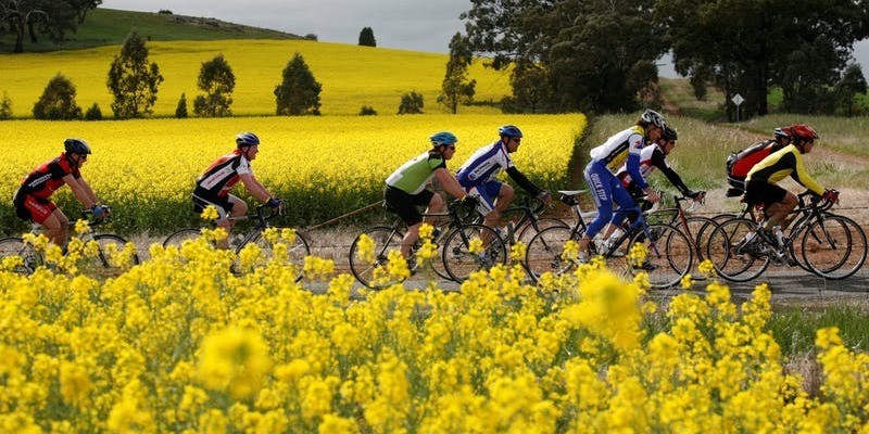 kidsbucketlist.com.au - Dookie Rail Trail - 1