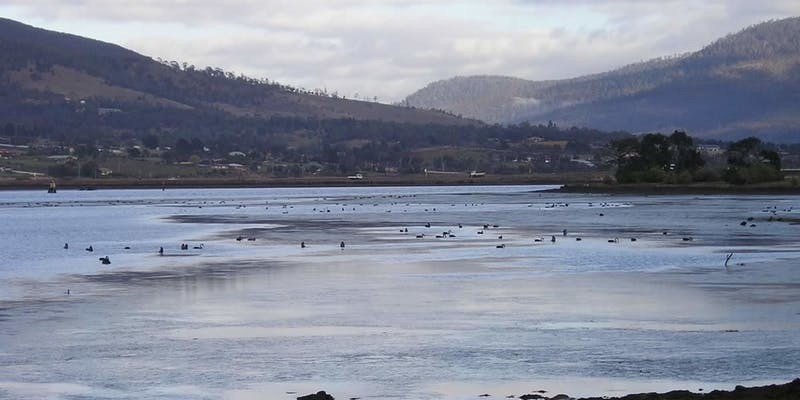 kidsbucketlist.com.au - Bridgewater Foreshore Walking Trail - 2