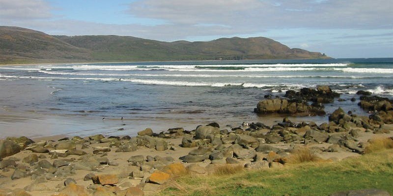 kidsbucketlist.com.au - South Bruny National Park - 3