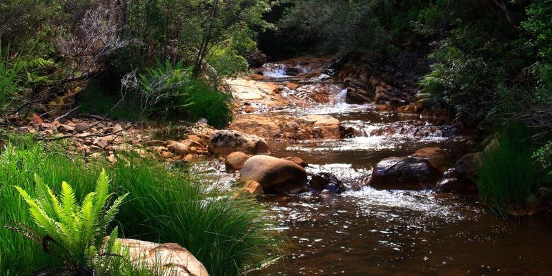 kidsbucketlist.com.au - Hellyer Gorge - 1