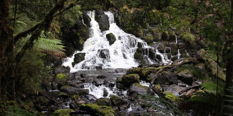 kidsbucketlist.com.au - Hellyer Gorge - 2