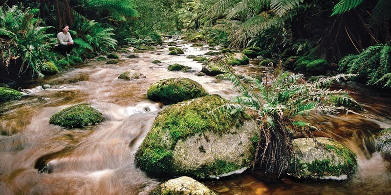 kidsbucketlist.com.au - Evercreech Forest Reserve - 1