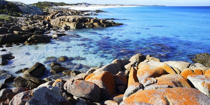 kidsbucketlist.com.au - Mt William National Park - 3