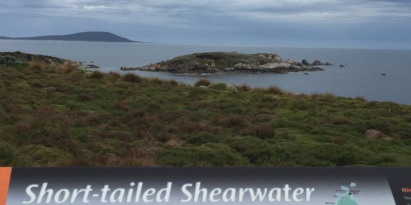 kidsbucketlist.com.au - Settlement Point Viewing Platform - 2