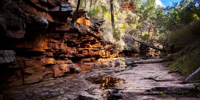 kidsbucketlist.com.au - Mount Remarkable National Park - 1