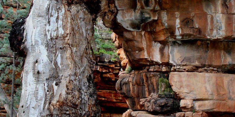 kidsbucketlist.com.au - Mount Remarkable National Park - 4