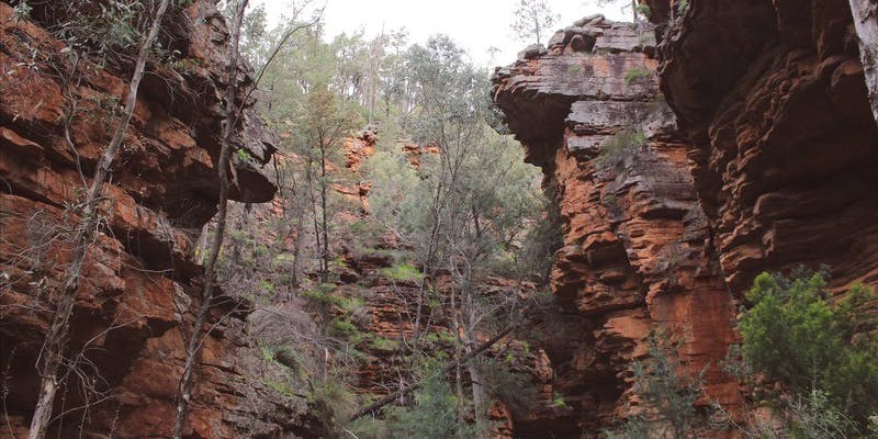 kidsbucketlist.com.au - Mount Remarkable National Park - 5