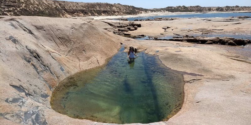 kidsbucketlist.com.au - Point Brown Rock Pool - 1