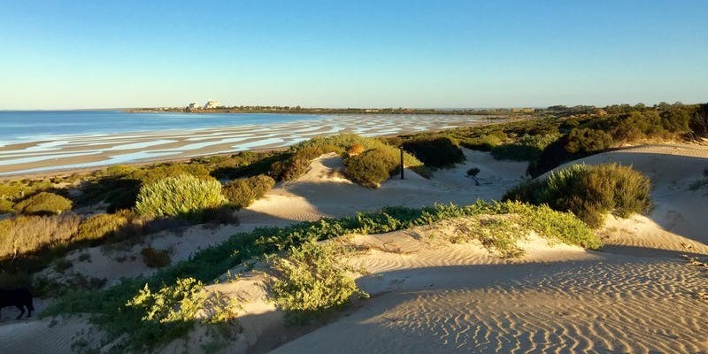 kidsbucketlist.com.au - Shelly Beach Dune Walk Trail - 1