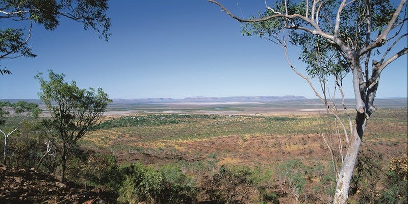 kidsbucketlist.com.au - Five Rivers Lookout - 2