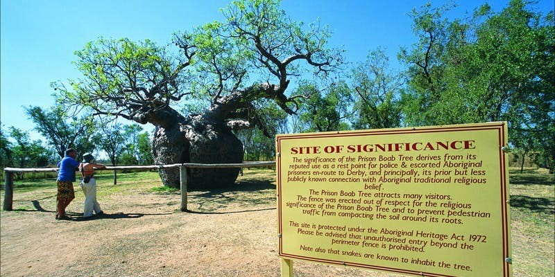 kidsbucketlist.com.au - Boab Prison Tree - 2
