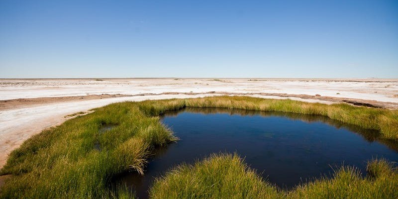 kidsbucketlist.com.au - Wabma Kadarbu Mound Springs - 1